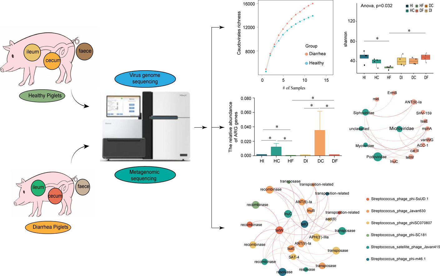 噬菌体组学研究